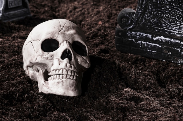 Free Photo creepy human skull at cemetery on halloween night