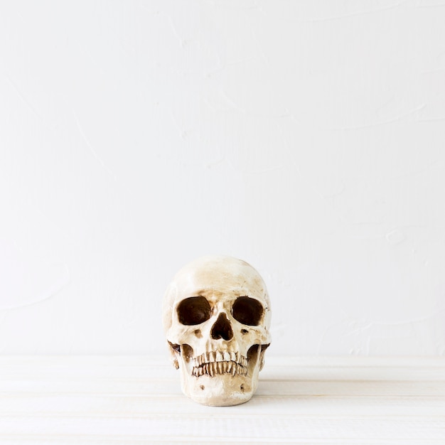 Free photo creepy skull for halloween party