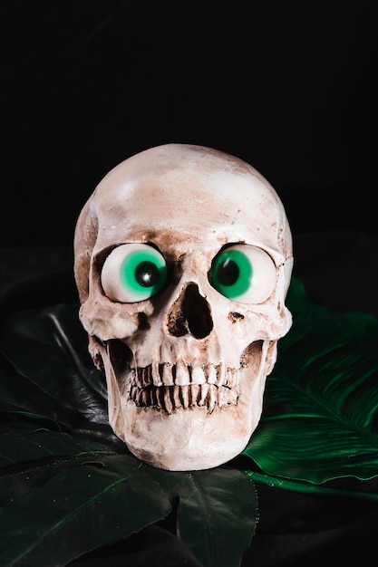 Free photo creepy skull with toy eyeballs