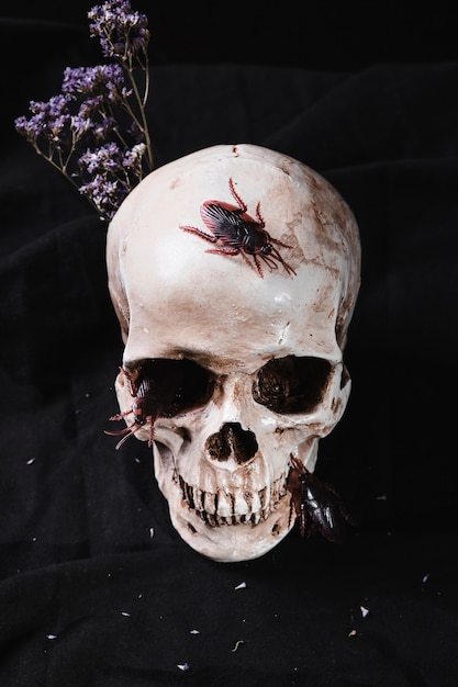 Free Photo creepy skulls with roaches and flowers