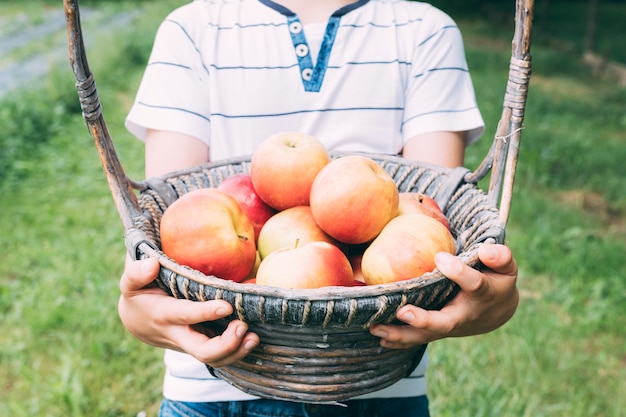 Free photo crop boy with basket of apples