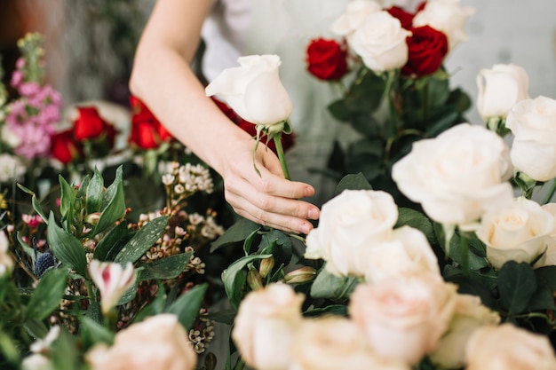 Crop florist picking rose for bouquet