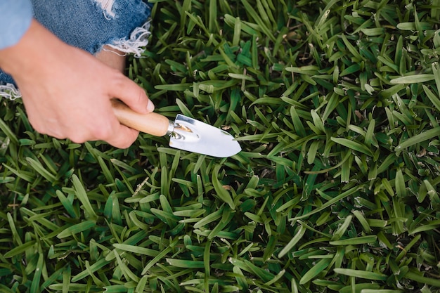 Free photo crop hand digging grass