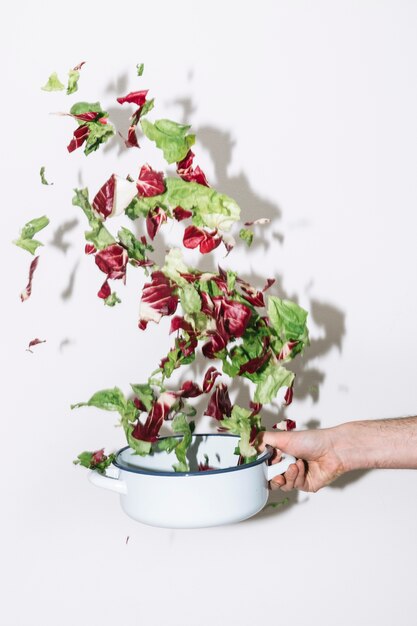 Crop hand shaking saucepan with salad