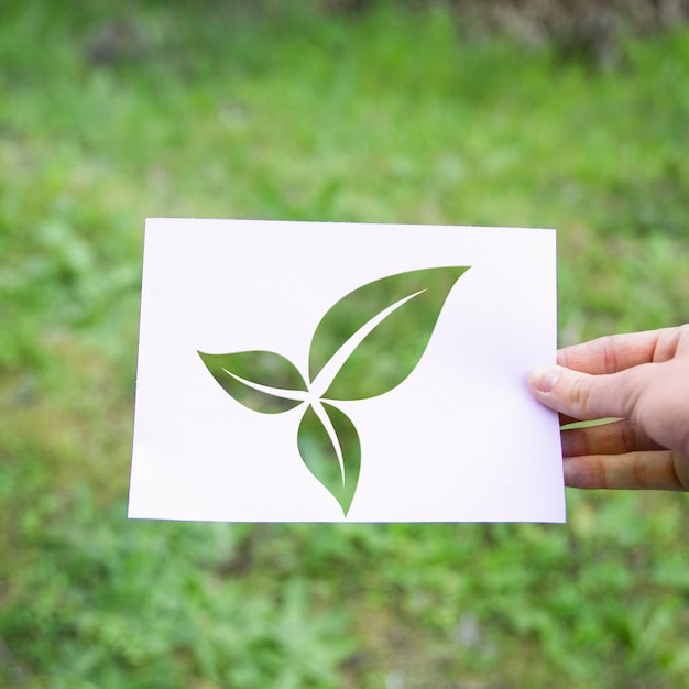 Crop hand with eco leaves symbol