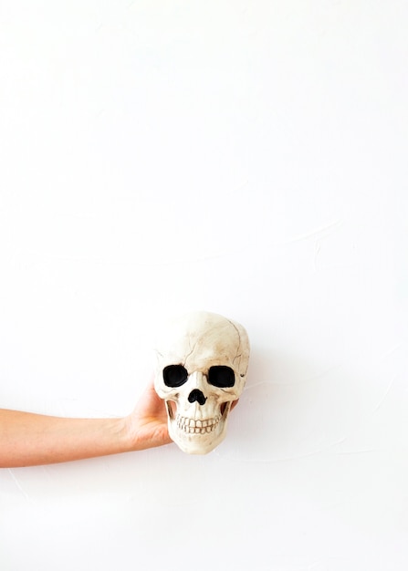 Free Photo crop hand with human skull