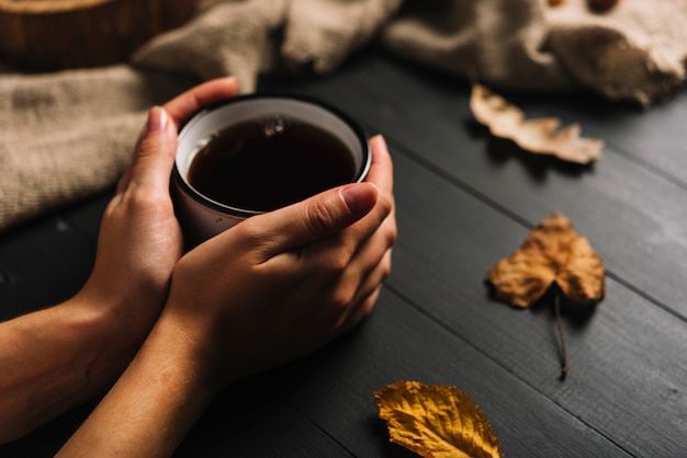 Free photo crop hands holding mug near leaves