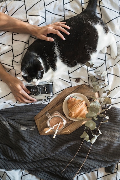 Free Photo crop hands stroking cat and holding camera near breakfast food