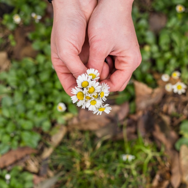 Free photo crop hands with pile of flowers