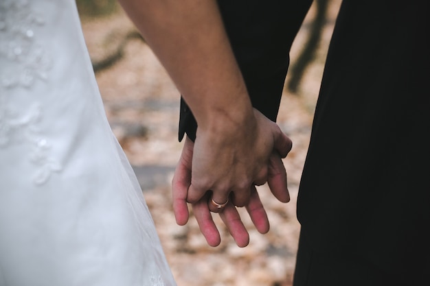 Free Photo crop newlyweds holding hands