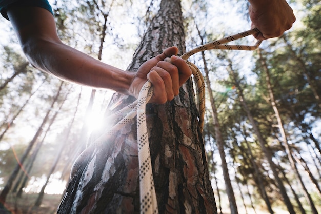 Free Photo crop person tying rope on tree