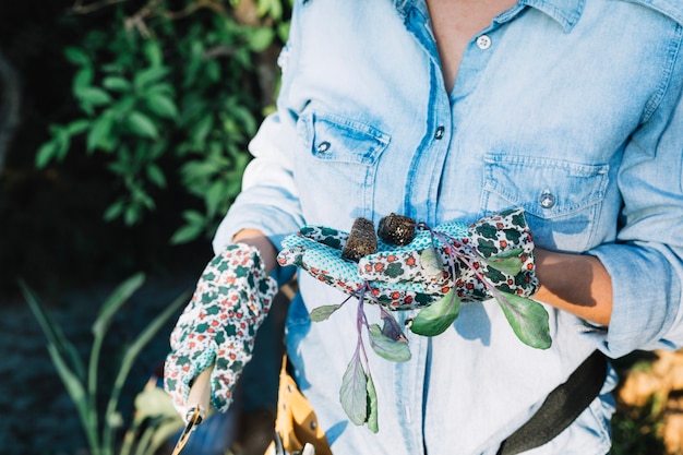 Free Photo crop woman in gloves holding sprouts