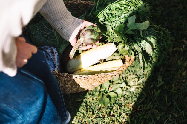 Free photo crop woman taking artichoke from basket