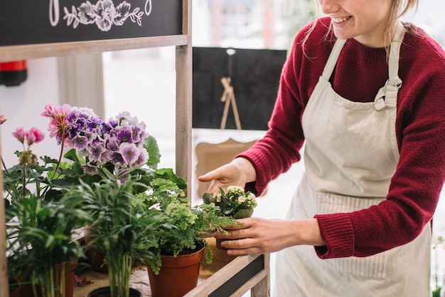 Crop woman taking care of flowers