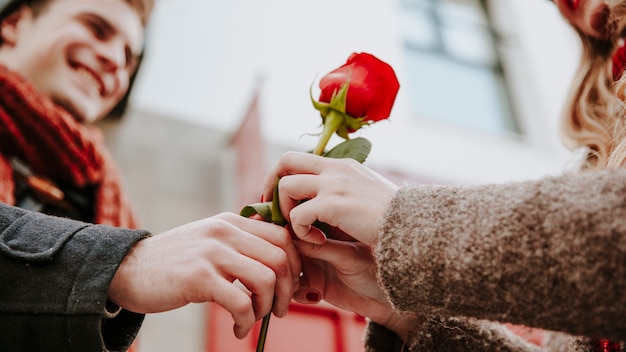 Free Photo crop woman taking red rose from cheerful man