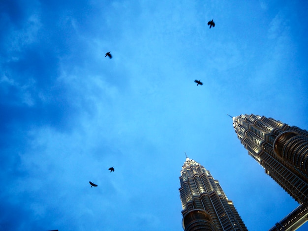 Free photo crow twin tower sky view concept