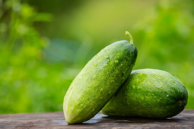 Cucumber that is placed on a wooden table and has a natural green color blurred in the back.