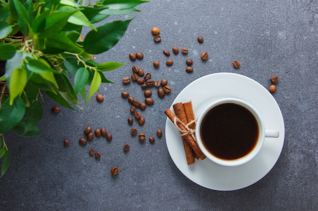 A cup of coffee with dry cinnamon, plant top view on a gray surface