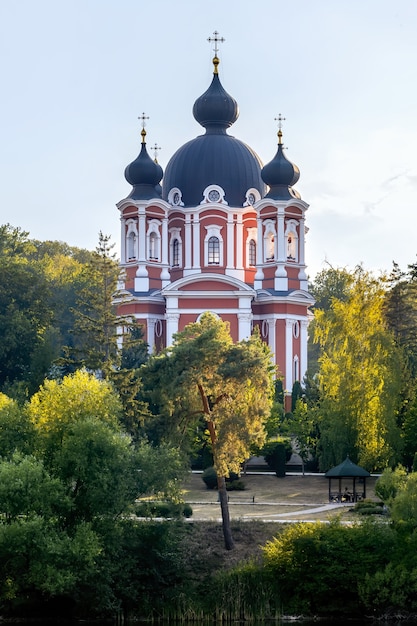 Free photo curchi monastery surrounded by green trees