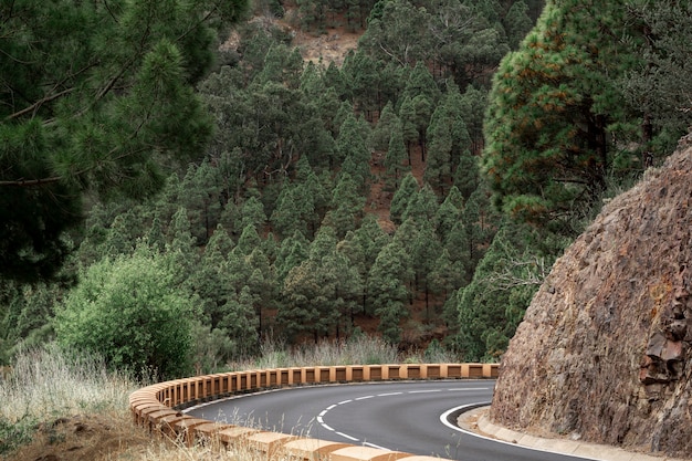 Free photo curve road in the hill