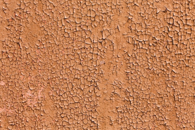 Free photo cut out brown paint of a wall texture