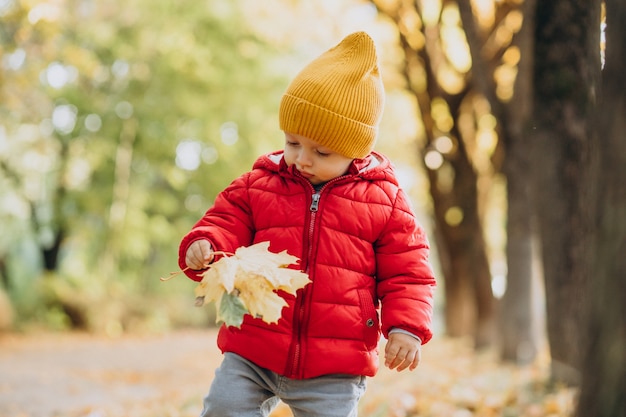 Cute baby boy in red jacket in autumnal park