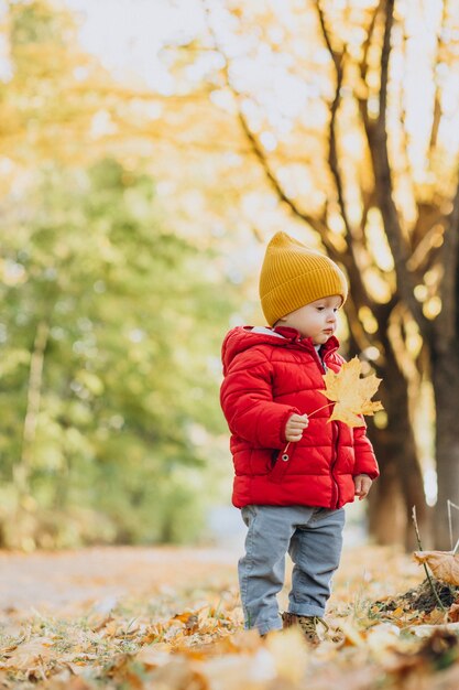 Cute baby boy in red jacket in autumnal park