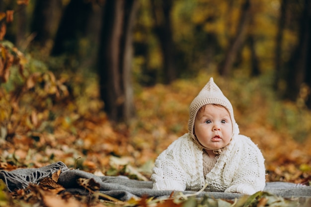 Free photo cute baby girl lying on blanket in autumnal forest