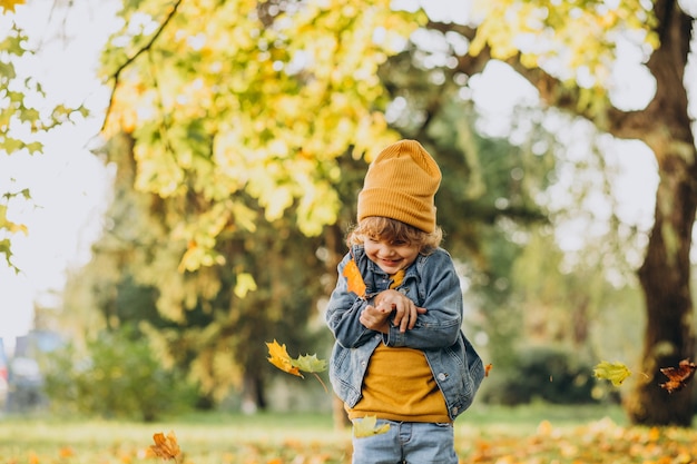 Cute boy playing with leaves in autumn park