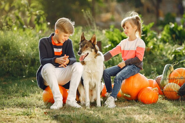 Cute childresn sitting on a garden near many pumpkins