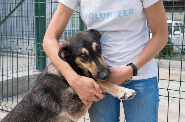 Free Photo cute dog for adoption playing with woman