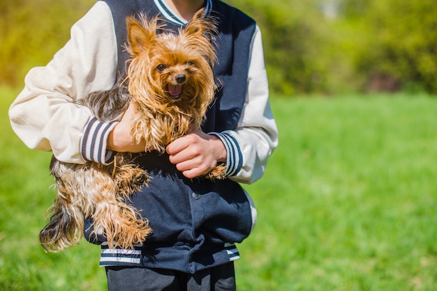 Free Photo cute dog in the arms of a child