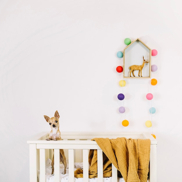 Free Photo cute dog in cradle