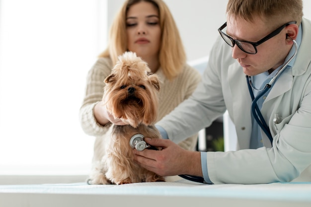 Free photo cute dog during a consultation