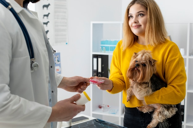 Free photo cute dog during a consultation