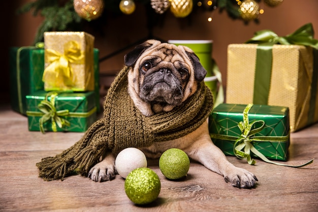 Free photo cute dog laid in front of gifts for christmas