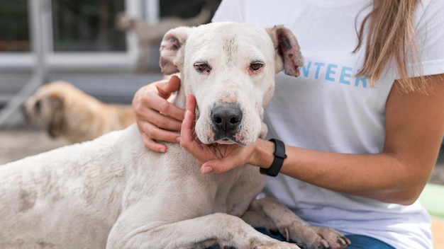 Cute dog at shelter being held by woman