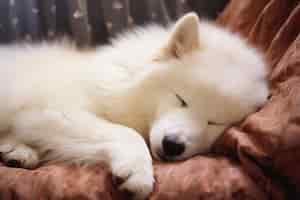 Free photo cute dog sleeping ai generated