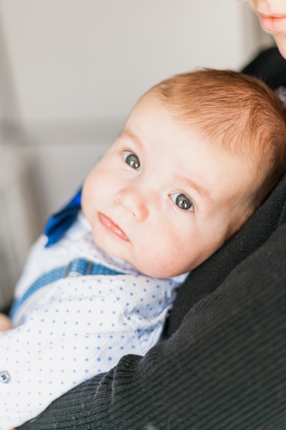 Free Photo cute and elegant baby wearing bow tie