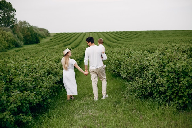 Cute family playing in a summer field