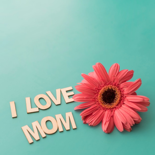 Free Photo cute "i love mom" lettering with flower