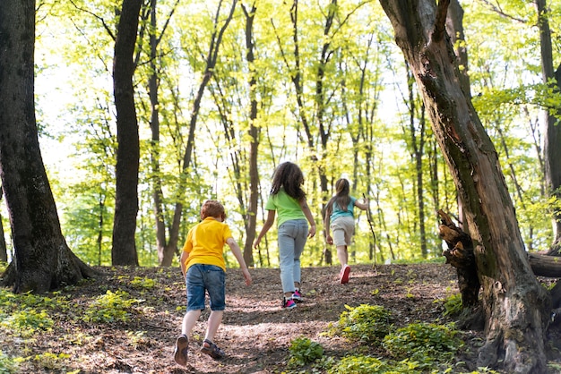 Cute kids exploring nature