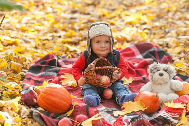 Free photo cute little baby holding a basket with apples