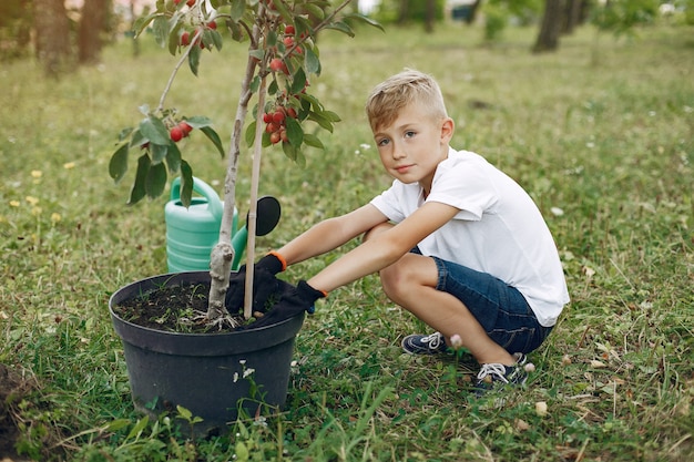 Free photo cute little boy planting a tree on a park