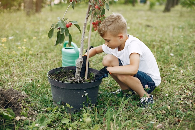 Free photo cute little boy planting a tree on a park