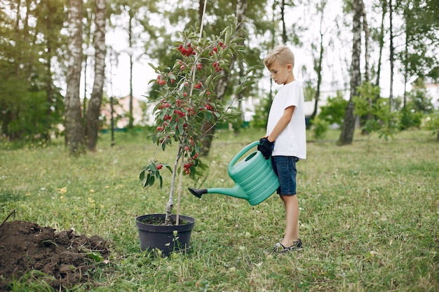 Cute little boy planting a tree on a park