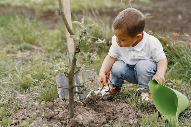 Free photo cute little boy planting a tree on a park