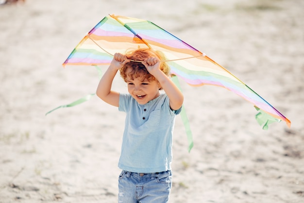 Free photo cute little child in a summer field with a kite