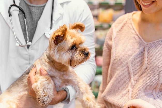 Cute little dog at the pet shop with owner