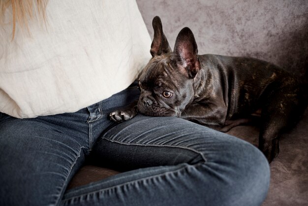 Free Photo cute little puppy resting next to his owner